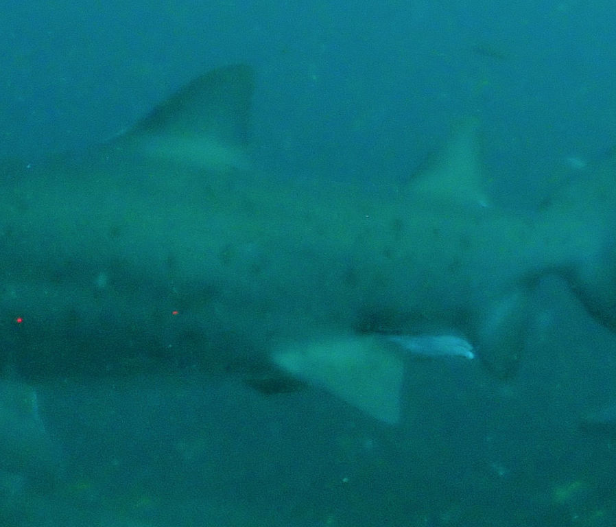 c965561f-d5af-4176-ad21-ee9b3dcc8f50