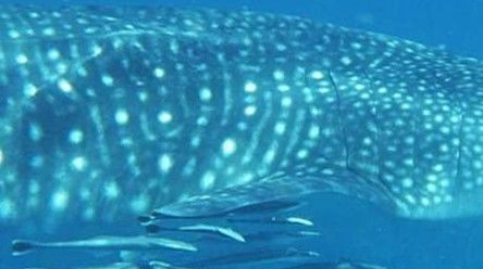 b9f2a2df-72df-40f1-85d9-d935be4431b0