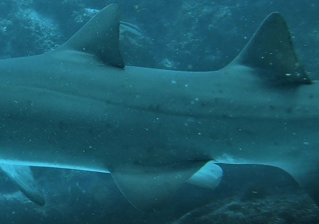 eac34d02-ef48-4d43-9a56-8ffbe95c37c3