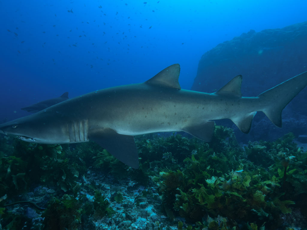 8baa997e-cc3c-41e3-aa8e-521ab32f2279