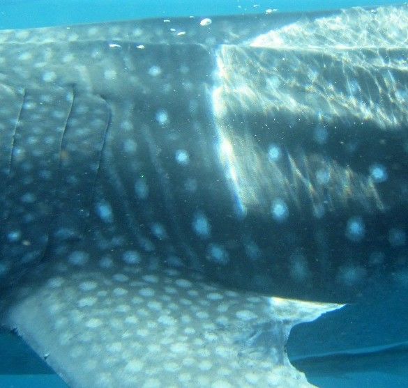 cd8831ad-0947-49b3-b5f5-b91c690848a3