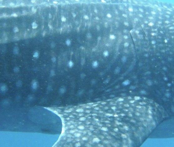 cd8831ad-0947-49b3-b5f5-b91c690848a3