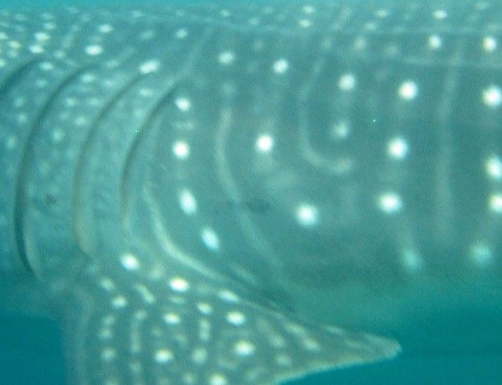 82926b32-efbc-4739-89ed-ca31f9849e4a