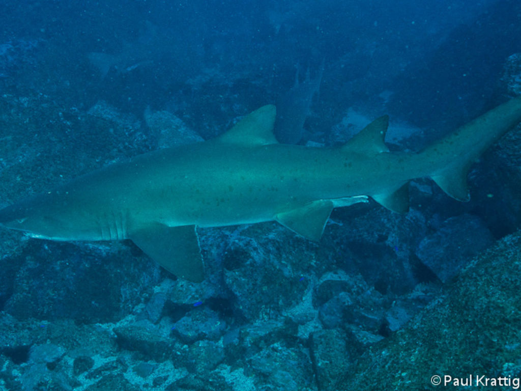 bc632402-73b6-4e36-8a86-b00c4c4c4960