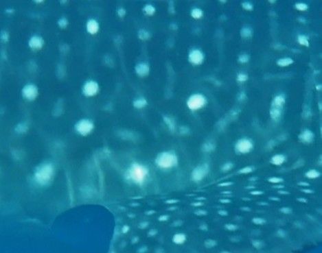 64a21f1e-f146-4fa8-b21c-0f47d4d260af