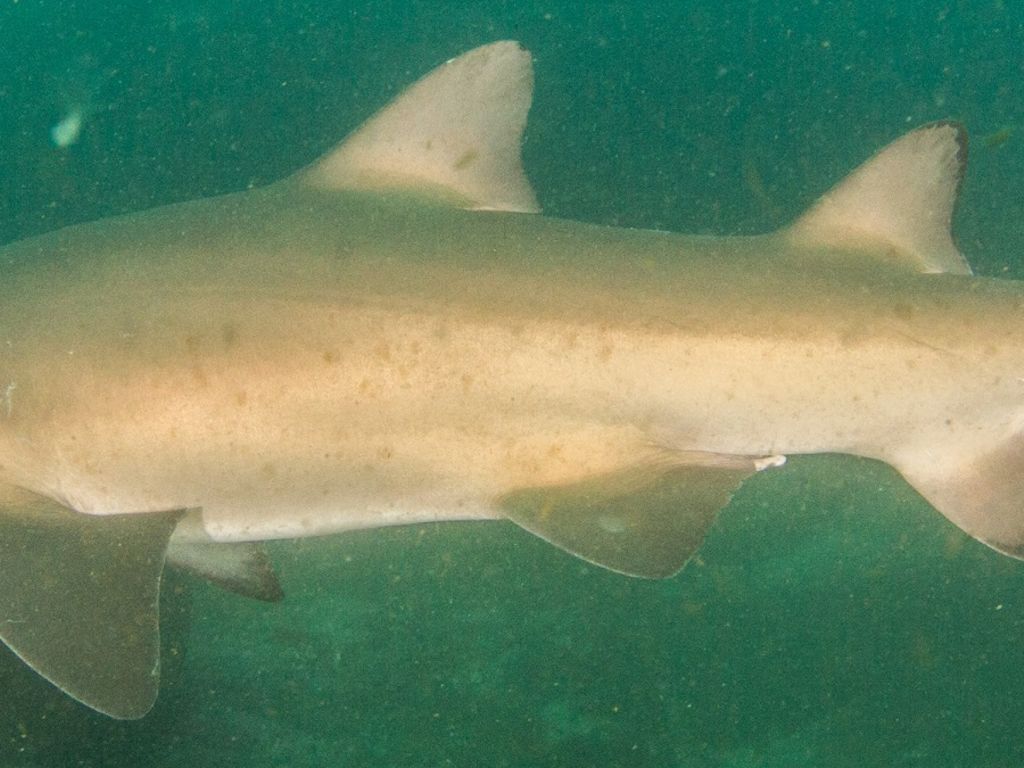 a4748316-f49a-4c64-a5f1-0e1e77214b77