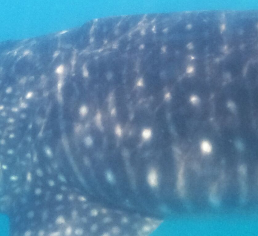 c18c6a27-3f27-41be-8358-3ffc127fcdca