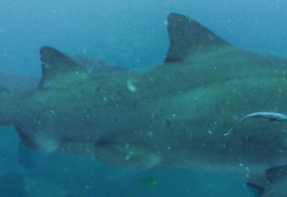 84804466-4284-48c0-b312-8518a84a5e4b