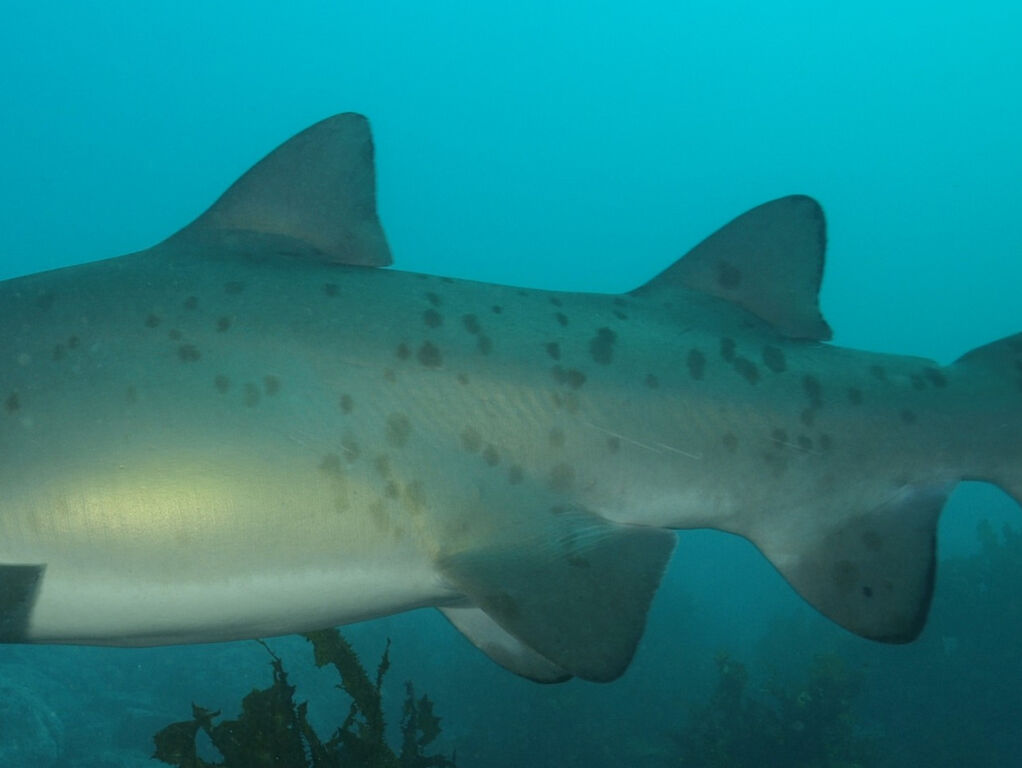 c0d2ac02-3ac4-4da0-aa07-d61129000dfc