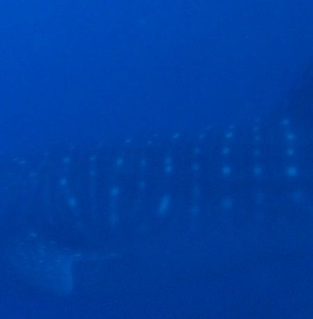 ec6851ab-46a0-4bbf-a7d4-812da04e6b26