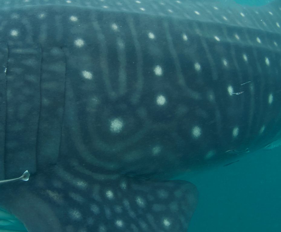 c945d85b-f806-4148-999d-b56fcfb112a2