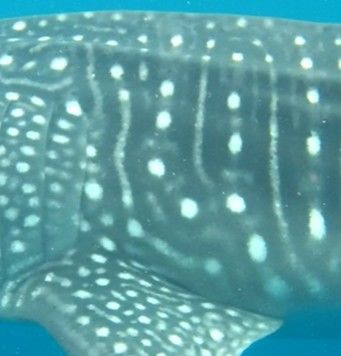 be68cd55-7d7d-41ac-9656-72de5185426b