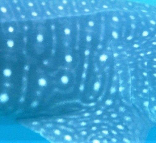 c5229f6e-36f6-4711-8397-0ee86f7b5fbf