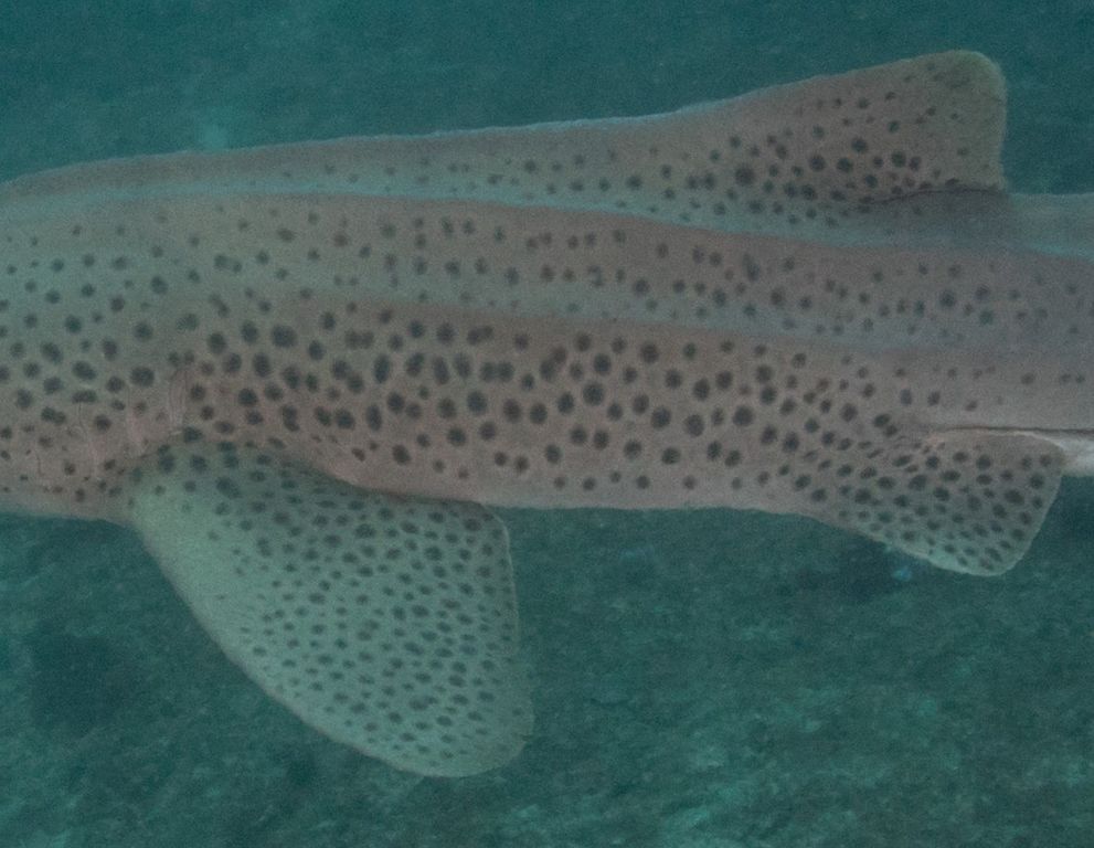 437aa328-2489-4d10-ba15-3eb7418ad408