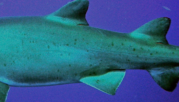 483dea98-5772-42f5-892b-5f1bf68edf67