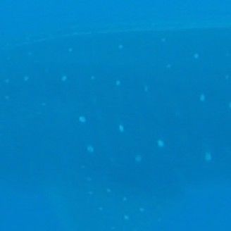 4519ebcb-0daa-4bdf-9ed8-402271b388c4