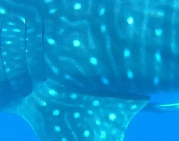 9c9b921d-3a96-4153-9692-af6600e72d74