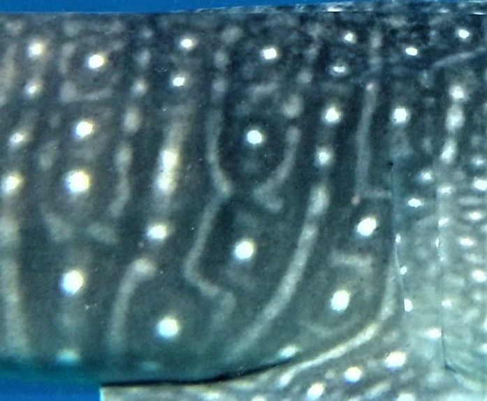 64cd1ad5-4215-4f50-b611-4e88017c460a