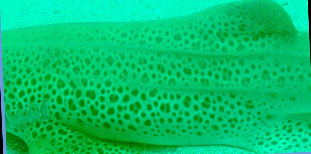 4e248b70-d123-47ea-8ab5-0f8969b3928d