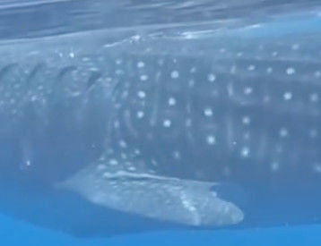 2bbd7698-320c-4592-beb4-0cb51532b0b0