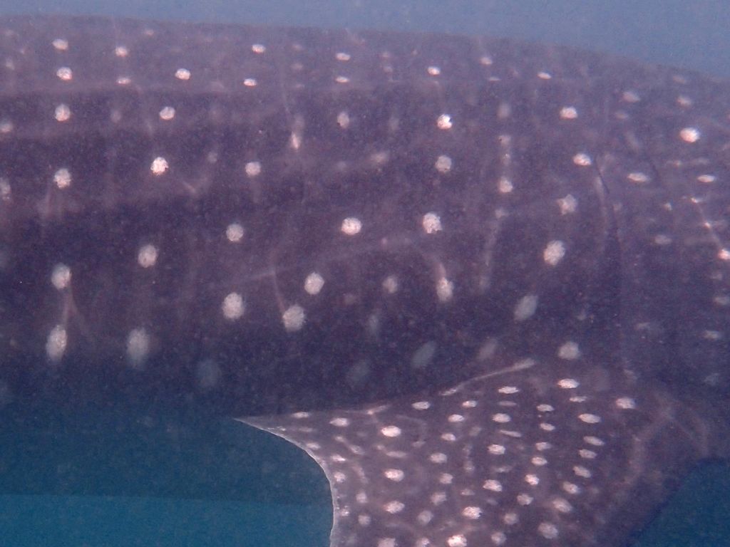 922ab612-03de-4dab-8f61-dbaf469250d0