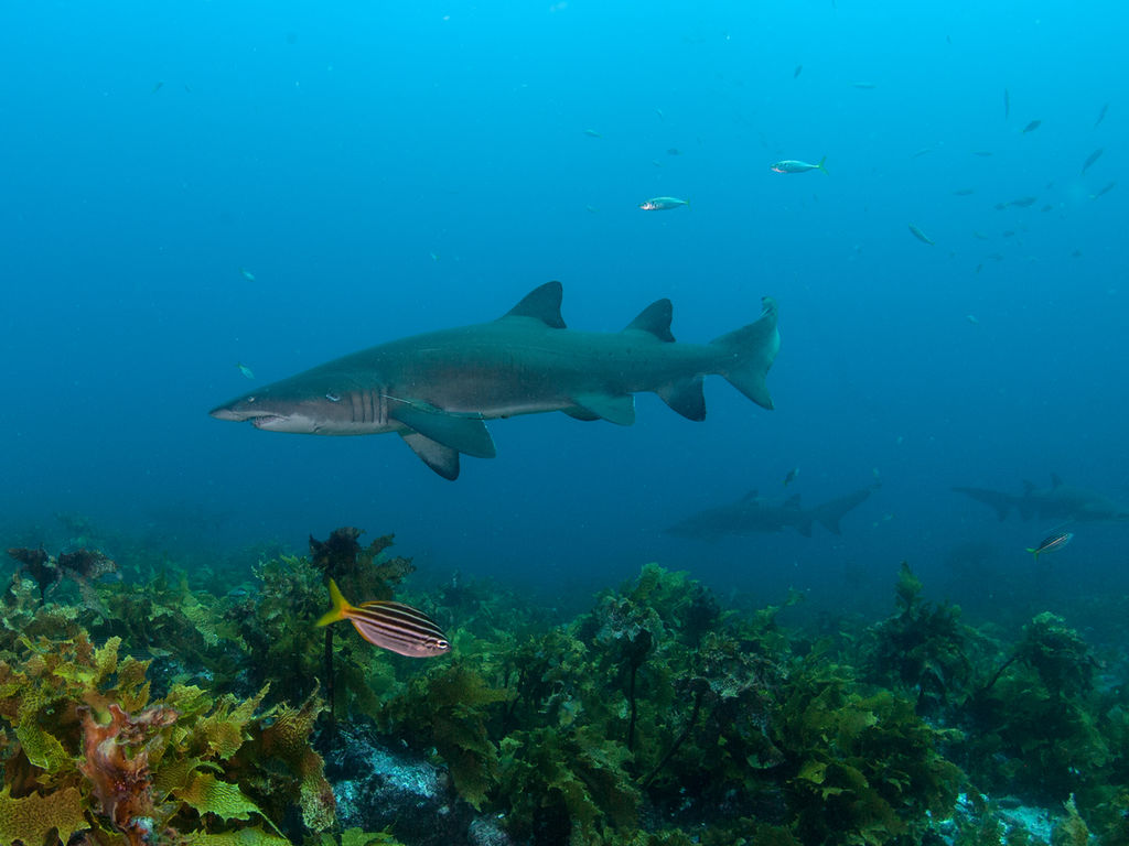 e0edde22-882f-4622-8f95-46882ceadcfe