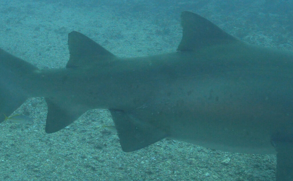 3f6da1e5-109f-4ff8-b51a-77349a33cc9c