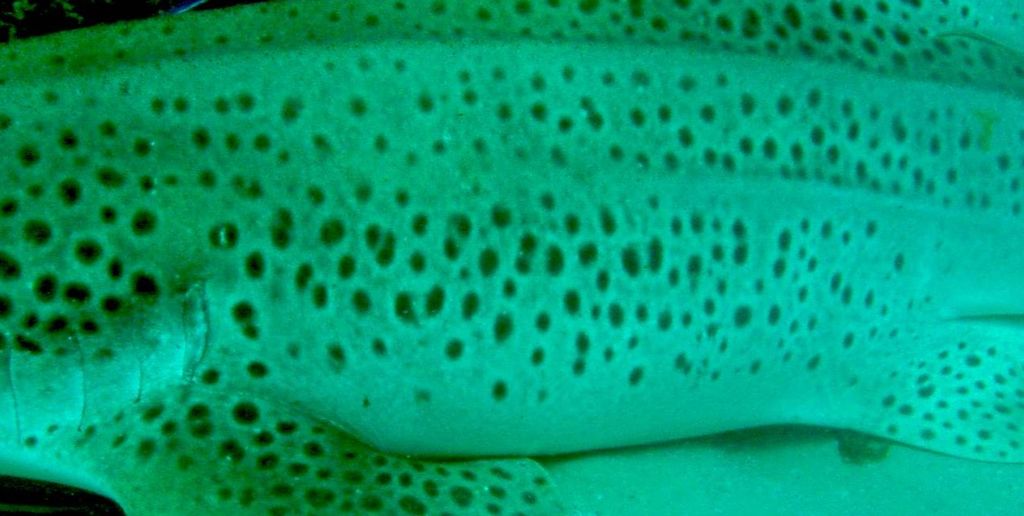 d879d71f-56ad-46de-bf70-90a1ae178ab5