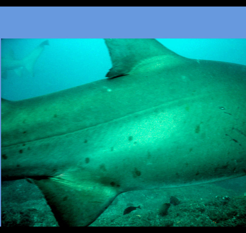 79aa622e-790e-444e-b294-8db9a0370830