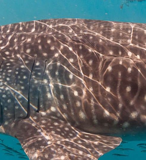 9a660287-64af-44b4-853b-397d7266b2fa