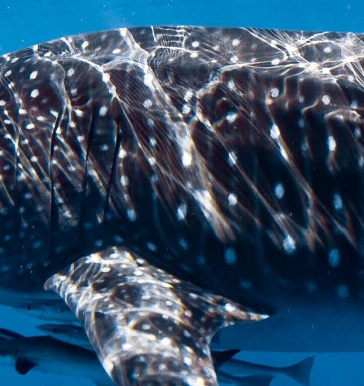 0621c6fc-2f4d-464f-a990-9917d58cf27e