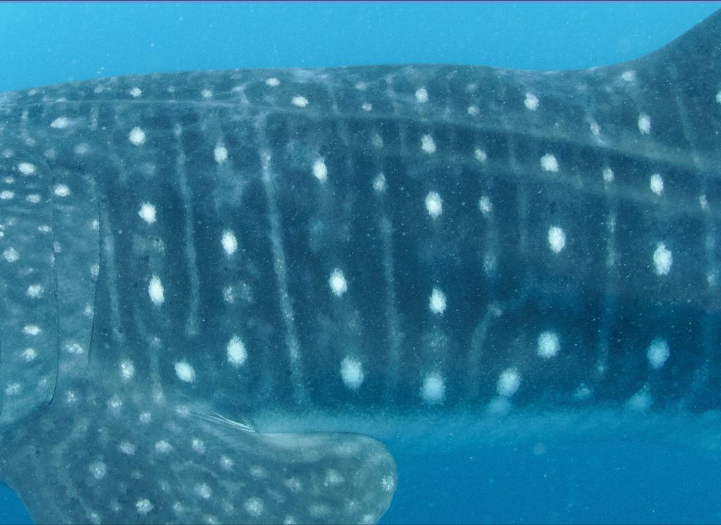 15ff5e01-68d3-477b-9f5d-2ef26940d8ae