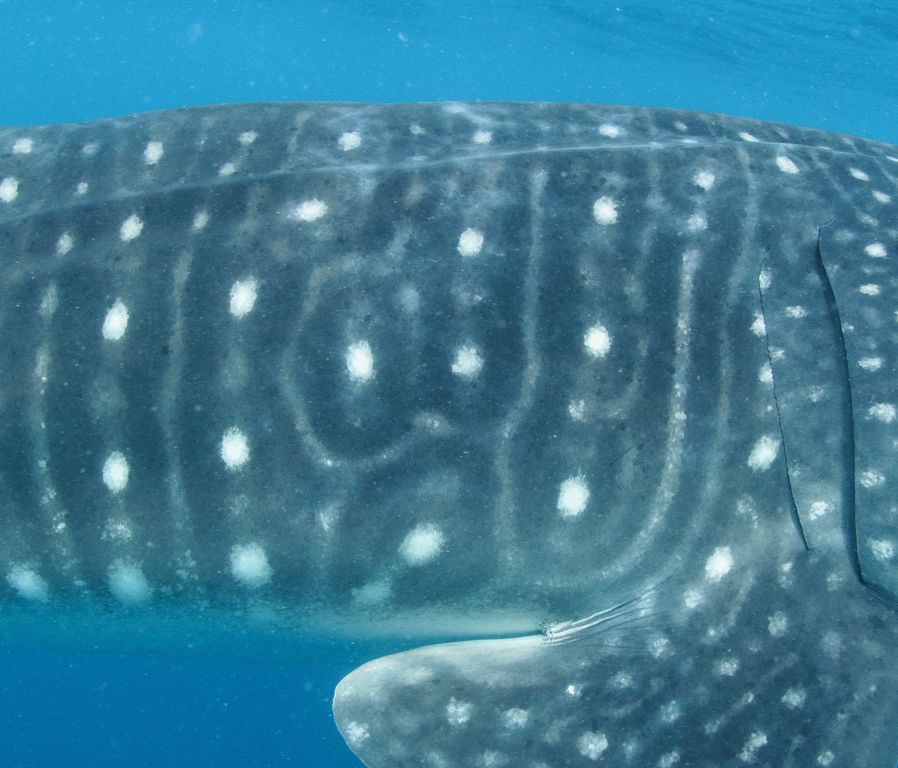 15ff5e01-68d3-477b-9f5d-2ef26940d8ae