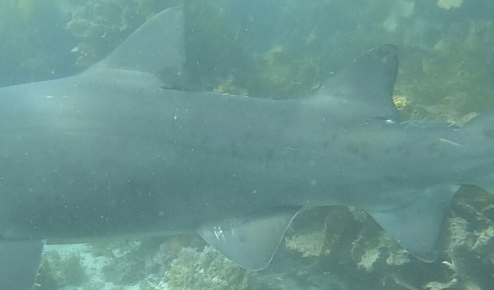 f3ce96e5-c783-4b47-8694-967fb9deb131