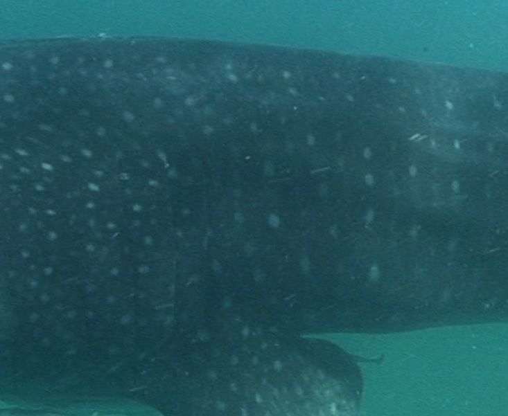 15e44ec1-727e-4ff7-a435-1f91a86d2e20