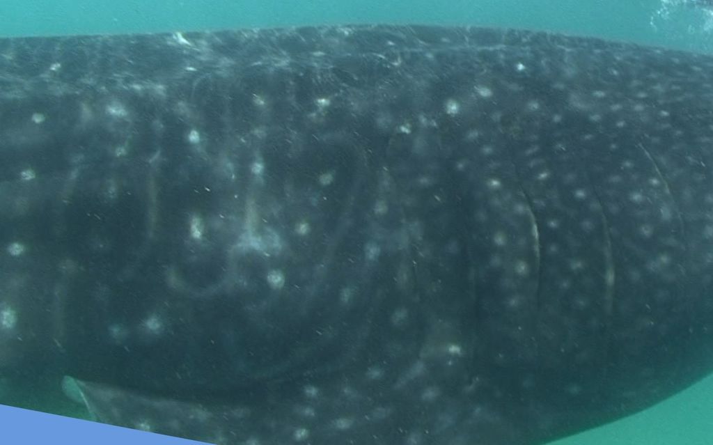 15e44ec1-727e-4ff7-a435-1f91a86d2e20