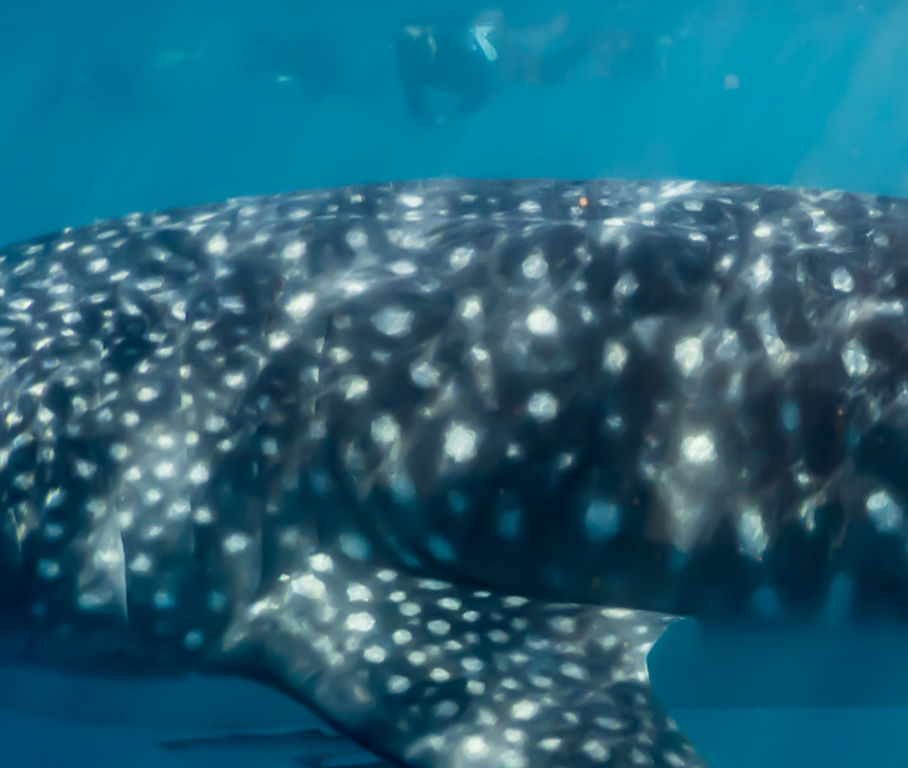 629e6788-3f9a-4da7-bc8b-d1ccac998f3f