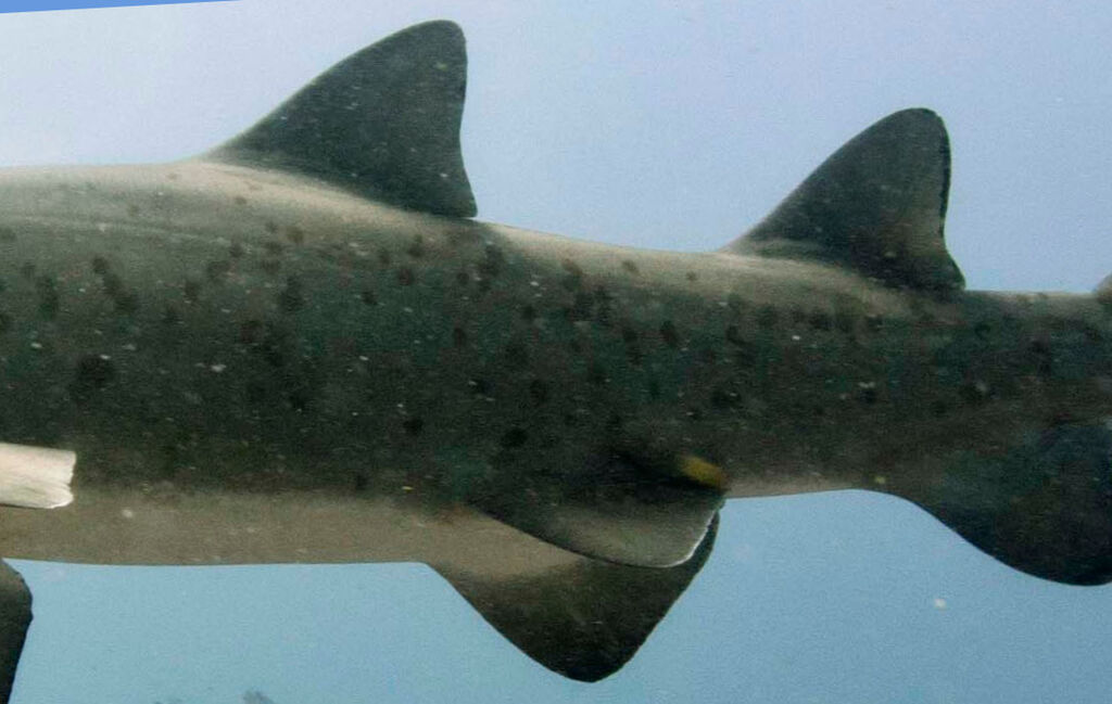 b3470b8e-3c8b-4e3f-99e7-dbc2b54b25d7