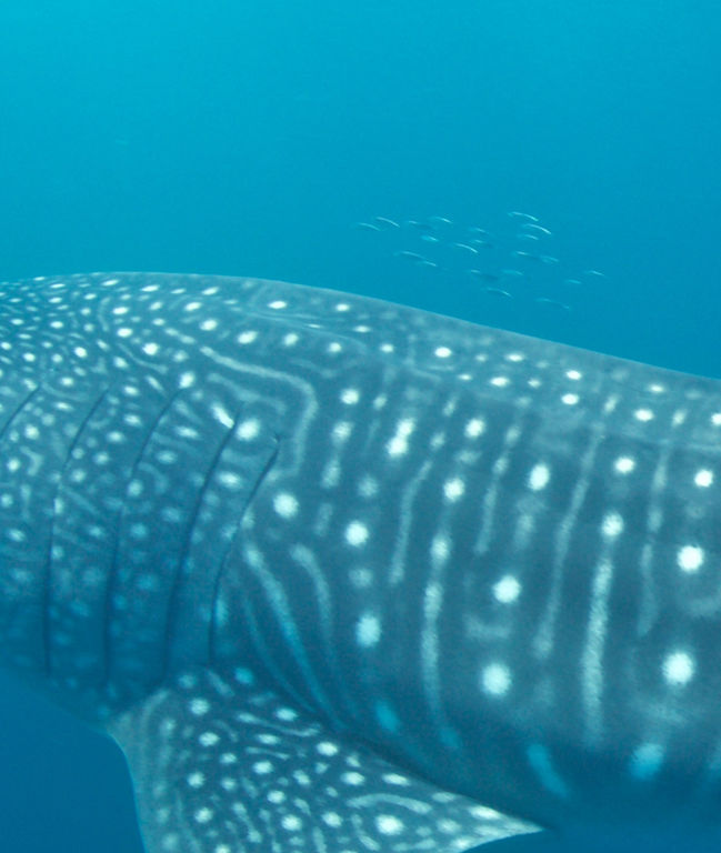 3ceb5445-daab-41ec-9bb5-75eafdec8e23