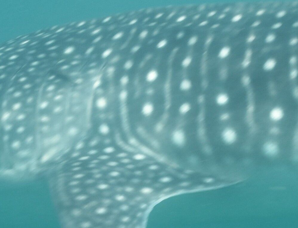 0734e566-0614-4241-b908-4a92cb6c464f