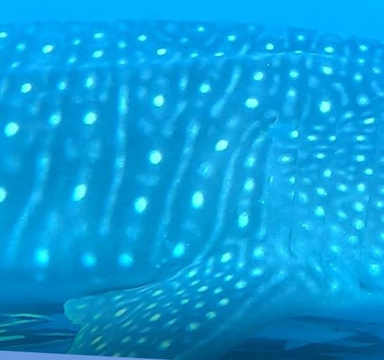 1f5b4a76-600f-4614-92bc-e32a935f9391