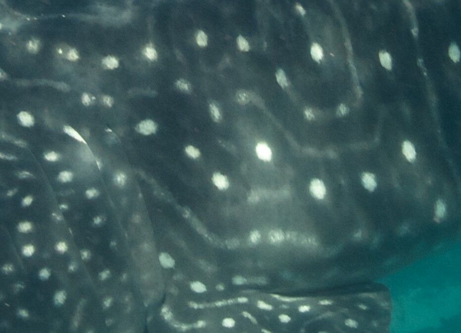 37821c73-c601-4d3f-a836-dbd60d7927c3