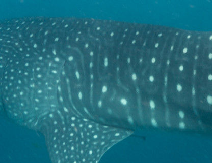 0891e543-ae5b-4e62-8e7f-9a9aa53c5f0e