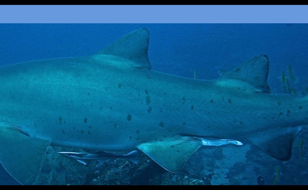 c39d26cf-423d-42c8-a0c7-5ad090245fae