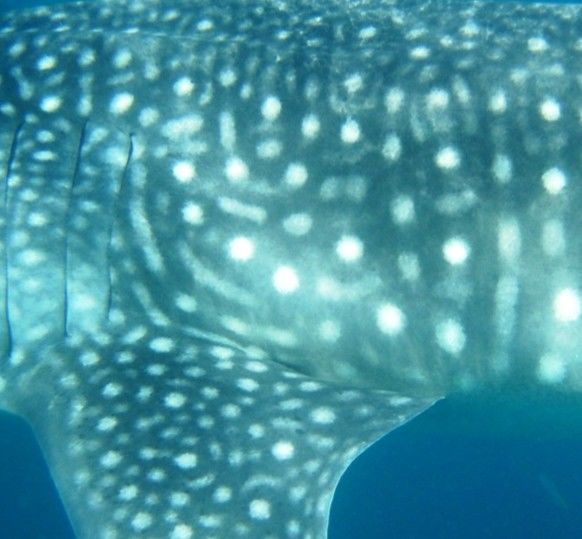 990c742e-c24e-4a9a-a57a-f0996d362cac