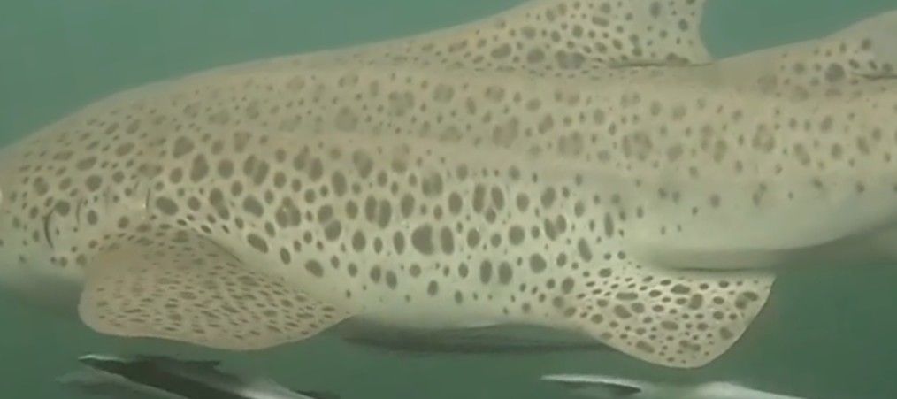 11346cd1-655a-4f96-8df8-ec9d73961b28