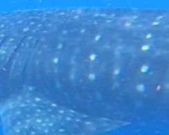 f5ad9d15-1b97-4447-8e52-3c848ee4b967