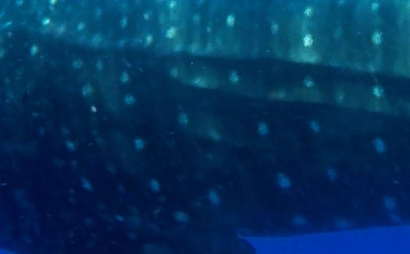 7eb4aff2-d7a7-412b-8b10-21f73e1a35c9