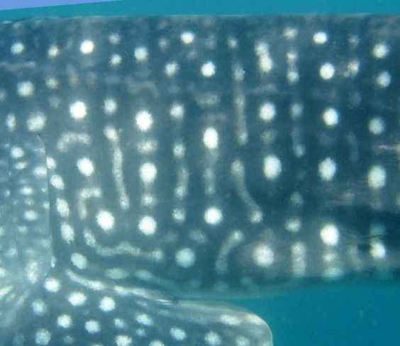 d14e096d-4be0-4a4f-a8d0-ee6015ba8f9f