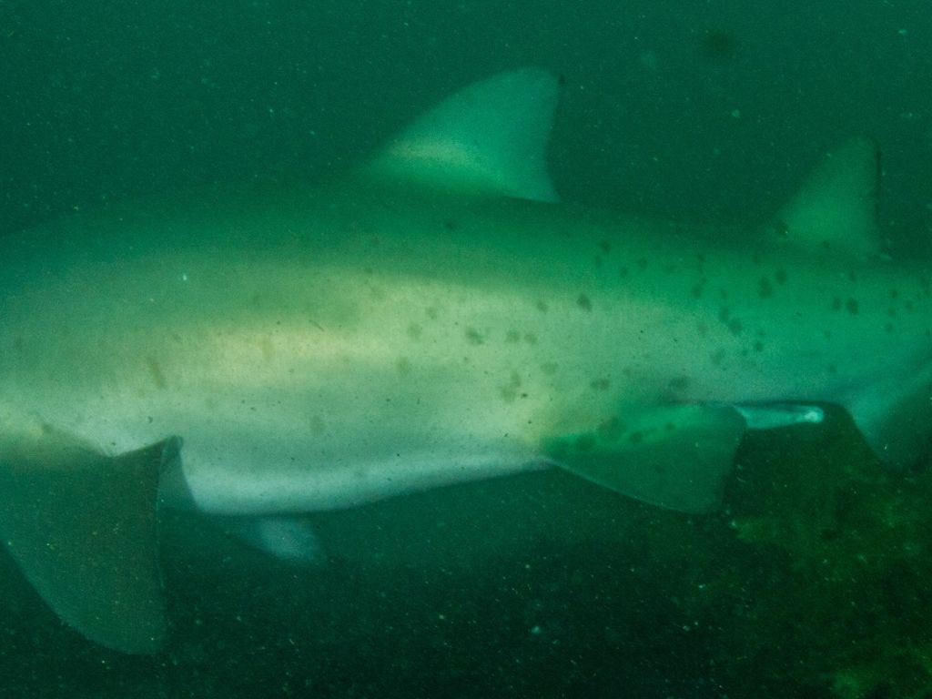 baeb87c9-06a5-4e6e-9aa9-6f64c2dcd03b